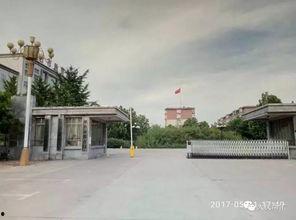 邢台一中爆料事件视频曝光,真相揭开，引发社会关注  第1张